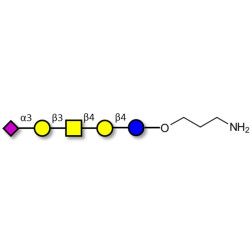 GM1b Ganglioside oligosaccharide with free terminal amine (Linker-NH2 A)