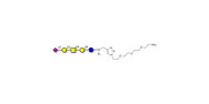 GM1b Ganglioside...
