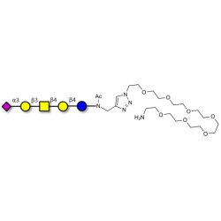 GM1b Ganglioside oligosaccharide with free terminal amine (Linker-NH2 C)