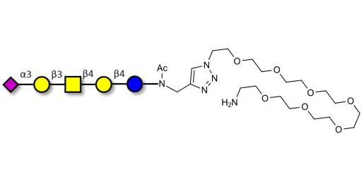 GM1b Ganglioside oligosaccharide with free terminal amine (Linker-NH2 C)