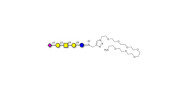 GM1b Ganglioside...
