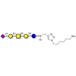 GM1b Ganglioside oligosaccharide with free terminal amine (Linker-NH2 D)