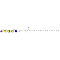 GM1b Ganglioside oligosaccharide with stearic chain (Linker-STEA A)