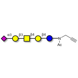 GM1b Ganglioside oligosaccharide with terminal alkyne (Linker-CΞCH A)