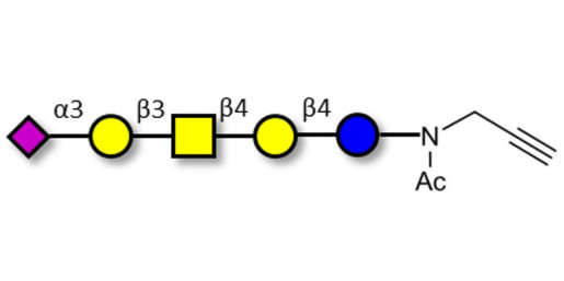 GM1b Ganglioside oligosaccharide with terminal alkyne (Linker-CΞCH A)