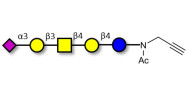 GM1b Ganglioside...