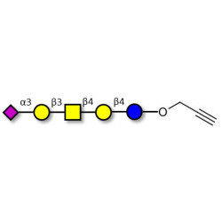 GM1b Ganglioside oligosaccharide with terminal alkyne (Linker-CΞCH B)