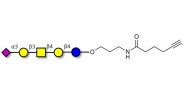 GM1b Ganglioside...