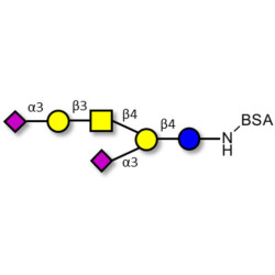 GD1a Ganglioside oligosaccharide grafted on BSA