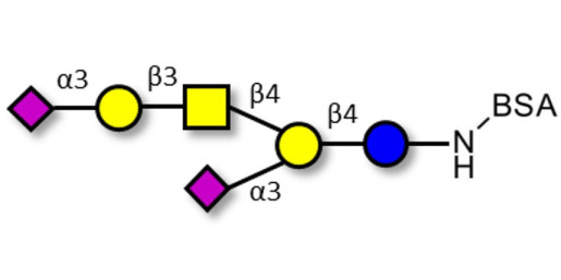 GD1a Ganglioside oligosaccharide grafted on BSA