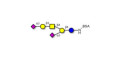 GD1a Ganglioside oligosaccharide grafted on BSA