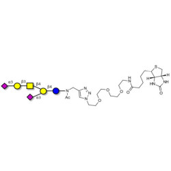 GD1a Ganglioside oligosaccharide linked to biotin (Linker-BT A)