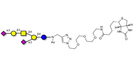 GD1a Ganglioside oligosaccharide linked to biotin (Linker-BT A) - GLY098-NAc-sp3-Bt