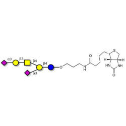 GD1a Ganglioside oligosaccharide linked to biotin (Linker-BT B)