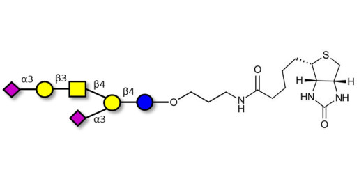 GD1a Ganglioside oligosaccharide linked to biotin (Linker-BT B)
