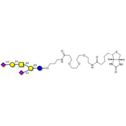 GD1a Ganglioside oligosaccharide linked to biotin (Linker-BT C)