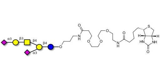 GD1a Ganglioside oligosaccharide linked to biotin (Linker-BT C)
