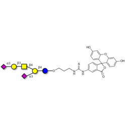 GD1a Ganglioside oligosaccharide linked to fluorescein (Linker-FLUO A)
