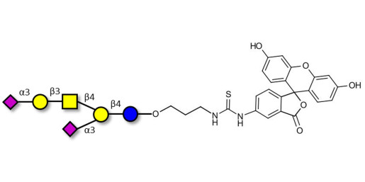 GD1a Ganglioside oligosaccharide linked to fluorescein (Linker-FLUO A)