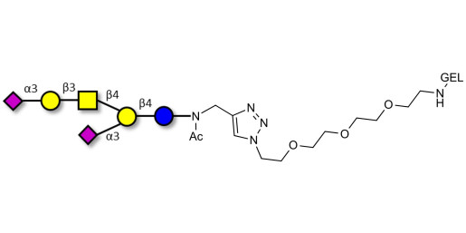 GD1a Ganglioside oligosaccharide grafted on gel for affinity chromatography (Linker-GEL A)