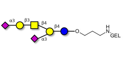 GD1a Ganglioside oligosaccharide grafted on gel for affinity chromatography (Linker-GEL B)