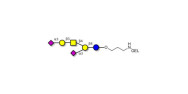 GD1a Ganglioside...