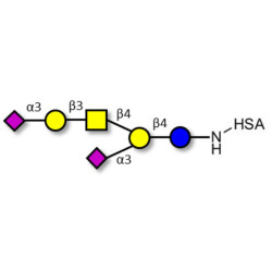 GD1a Ganglioside oligosaccharide grafted on HSA