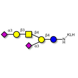 GD1a Ganglioside oligosaccharide grafted on KLH