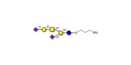 GD1a Ganglioside...