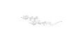 GD1a Ganglioside oligosaccharide with free terminal amine (Linker-NH2 B) - GLY098-NAc-sp1-NH2