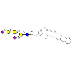 GD1a Ganglioside oligosaccharide with free terminal amine (Linker-NH2 C)
