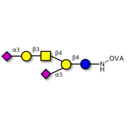 GD1a Ganglioside oligosaccharide grafted on OVA