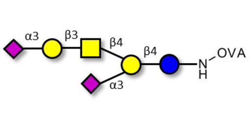 GD1a Ganglioside oligosaccharide grafted on OVA