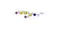 GD1a Ganglioside oligosaccharide grafted on OVA