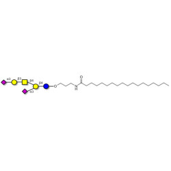 GD1a Ganglioside oligosaccharide with stearic chain (Linker-STEA A)