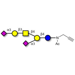 GD1a Ganglioside oligosaccharide with terminal alkyne (Linker-CΞCH A)