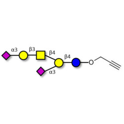 GD1a Ganglioside oligosaccharide with terminal alkyne (Linker-CΞCH B)