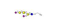 GD1a Ganglioside...