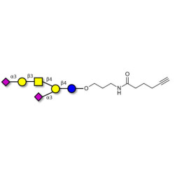 GD1a Ganglioside oligosaccharide with terminal alkyne (Linker-CΞCH C)