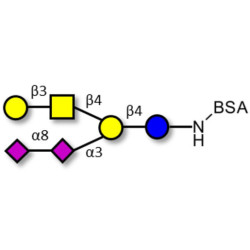 GD1b Ganglioside oligosaccharide grafted on BSA