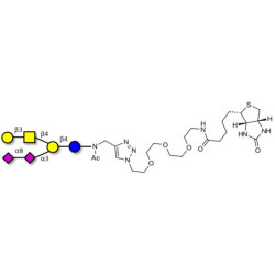 GD1b Ganglioside oligosaccharide linked to biotin (Linker-BT A)