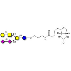 GD1b Ganglioside oligosaccharide linked to biotin (Linker-BT B)