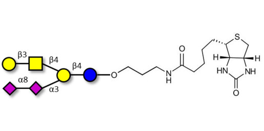 GD1b Ganglioside oligosaccharide linked to biotin (Linker-BT B)
