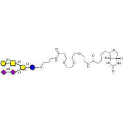 GD1b Ganglioside oligosaccharide linked to biotin (Linker-BT C)