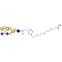 GD1b Ganglioside oligosaccharide grafted on gel for affinity chromatography (Linker-GEL A)