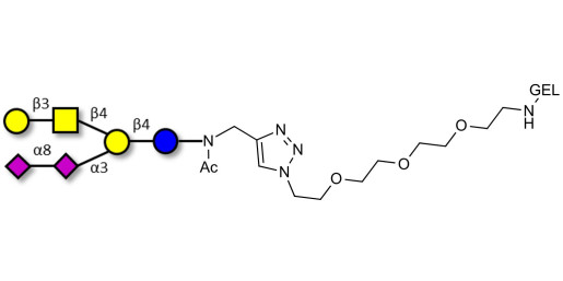 GD1b Ganglioside oligosaccharide grafted on gel for affinity chromatography (Linker-GEL A)