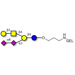 GD1b Ganglioside oligosaccharide grafted on gel for affinity chromatography (Linker-GEL B)