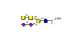 GD1b Ganglioside oligosaccharide grafted on HSA