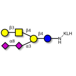 GD1b Ganglioside oligosaccharide grafted on KLH