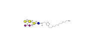GD1b Ganglioside...